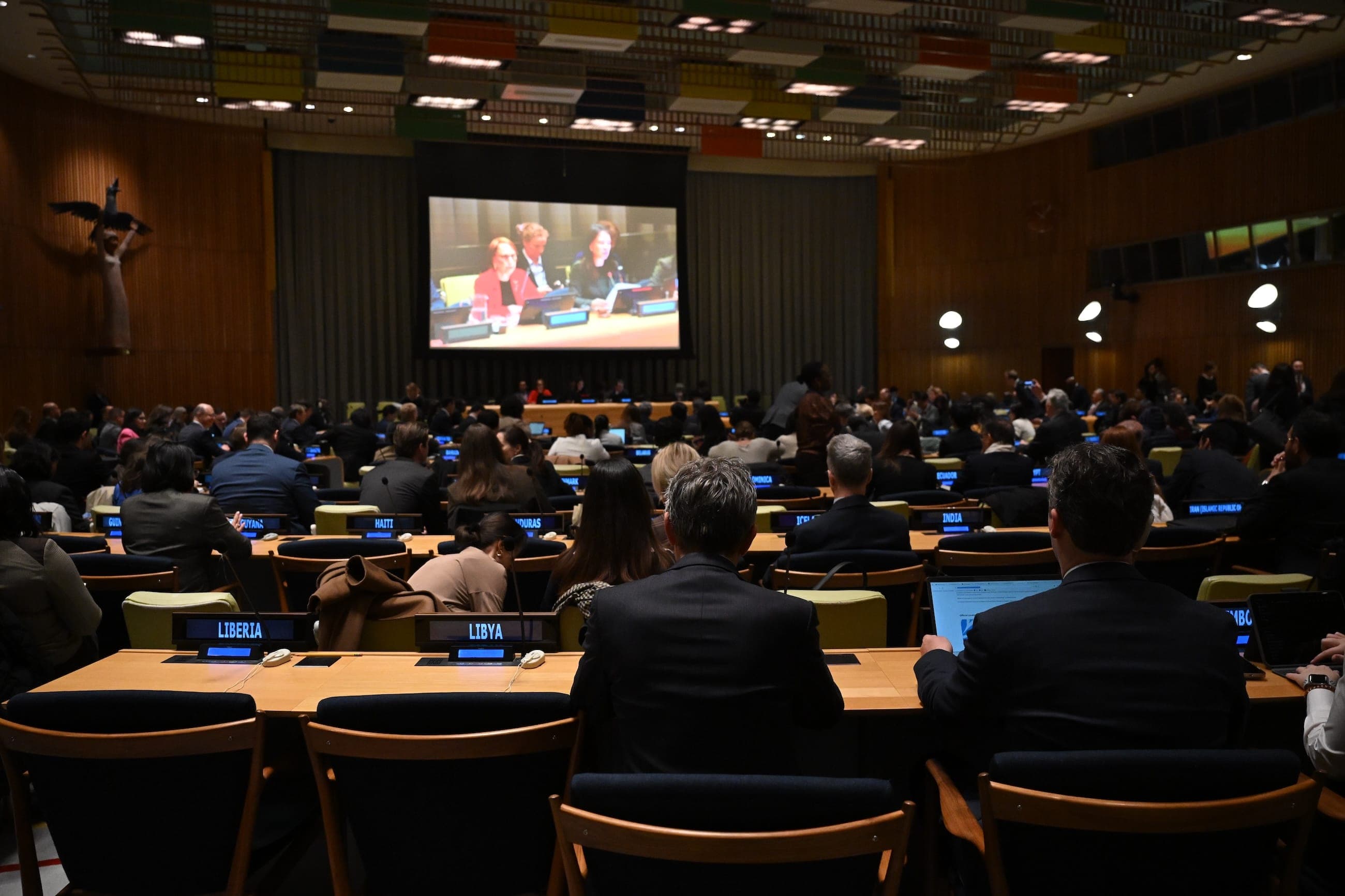 A man speaks from the floor among seated delegates and a camera crew in the General Assembly Hall.