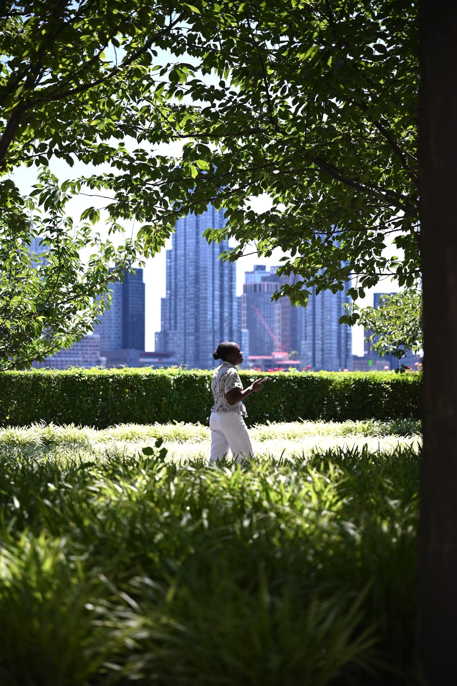 A person in white walks through the United Nations garden with the Secretariat building beyond the trees.